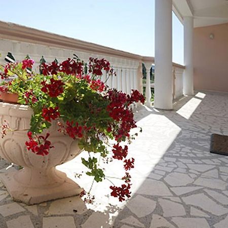 Di Vincenzo Inn Ulcinj Eksteriør billede
